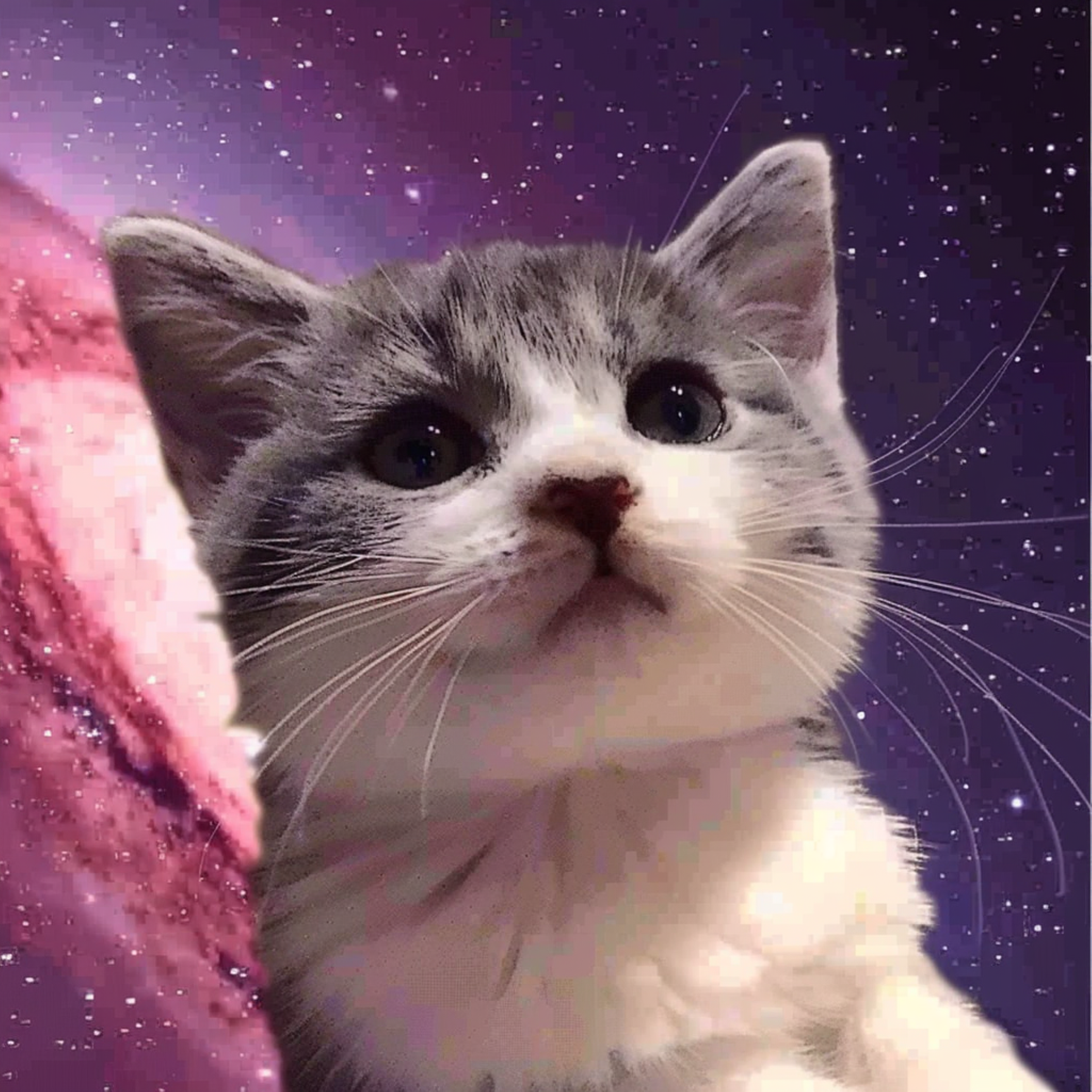 Mewn the Cosmic Kitty